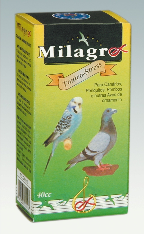 EX AREIEX AREIA ESP.AVES 2 KG                               